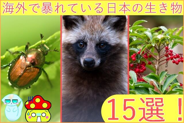 Thumbnail of post image 019